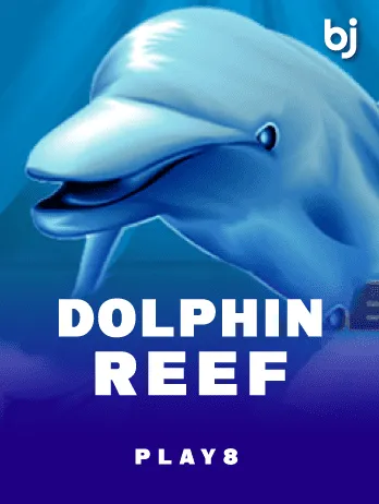 Dolphin Reef