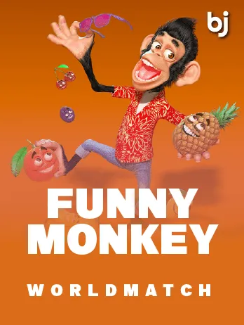 Funny Monkey